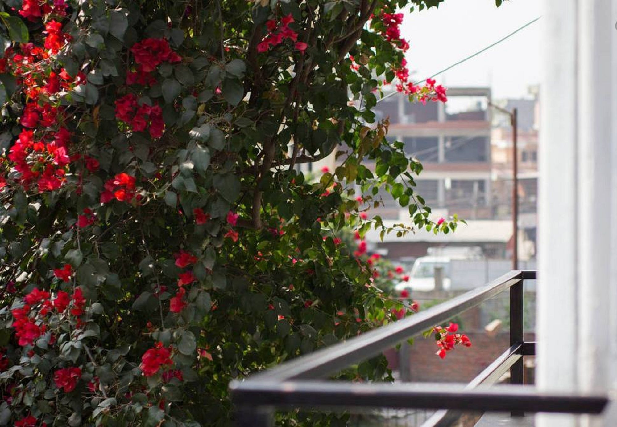 Le Rhododendron Chambres D'Hotes Kathmandu Exterior photo